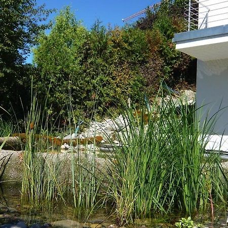 N1 Standalone House Baden Daire Hertenstein Dış mekan fotoğraf