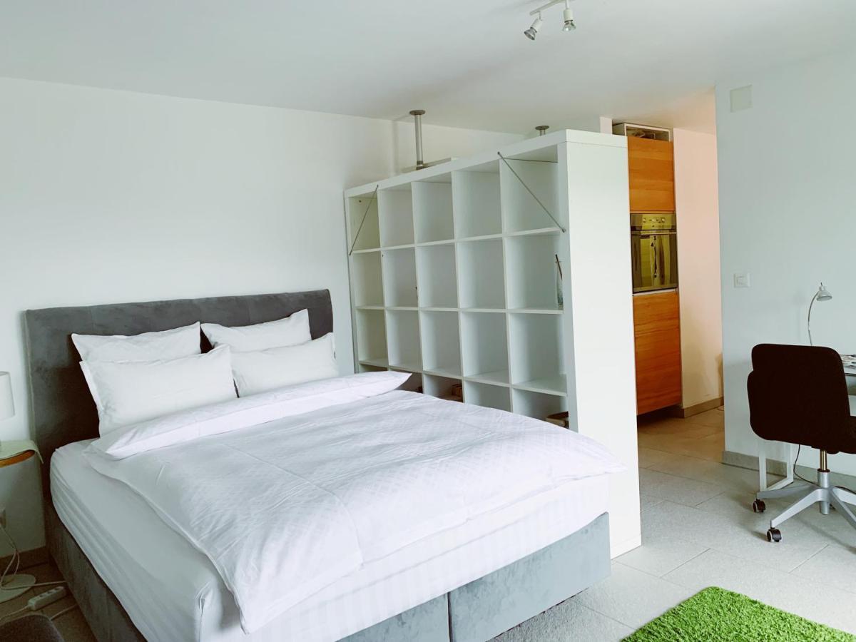 N1 Standalone House Baden Daire Hertenstein Dış mekan fotoğraf