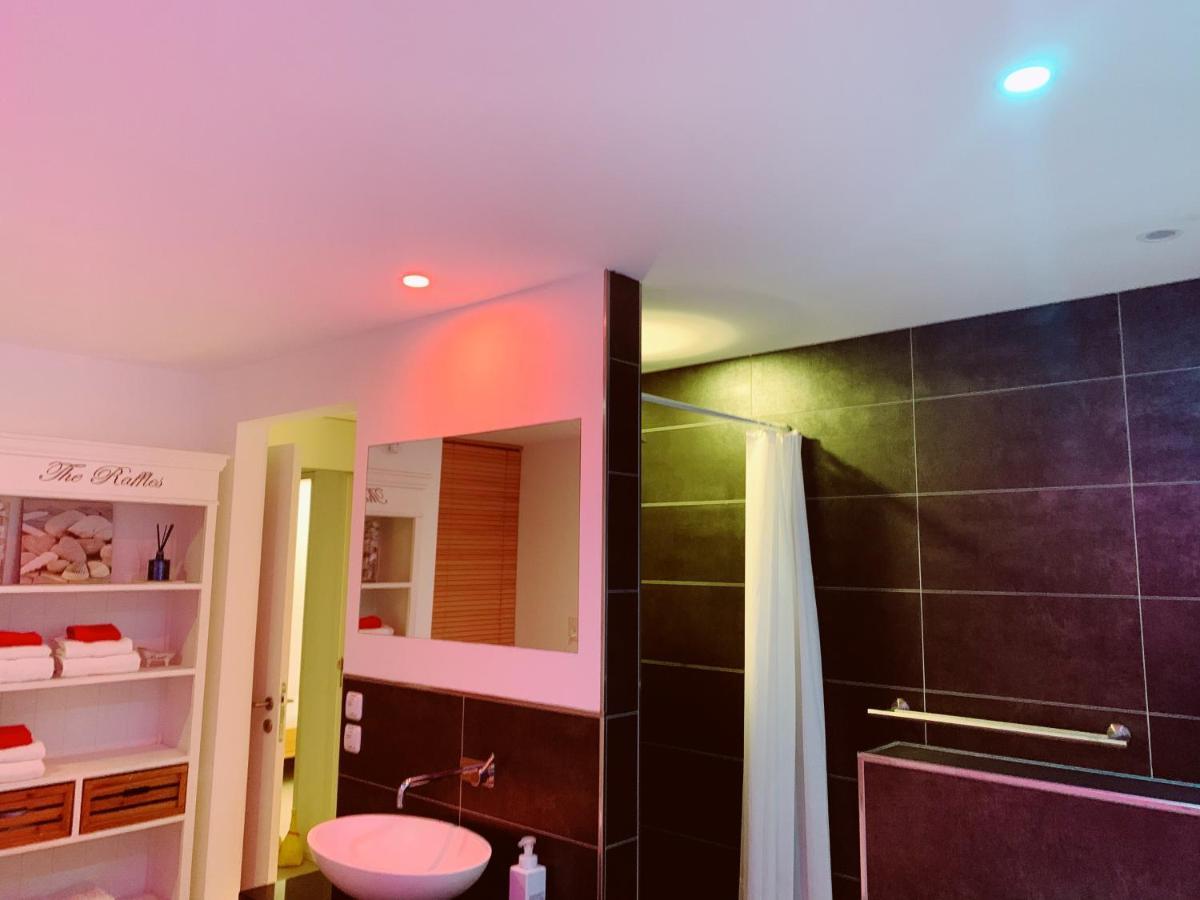 N1 Standalone House Baden Daire Hertenstein Dış mekan fotoğraf