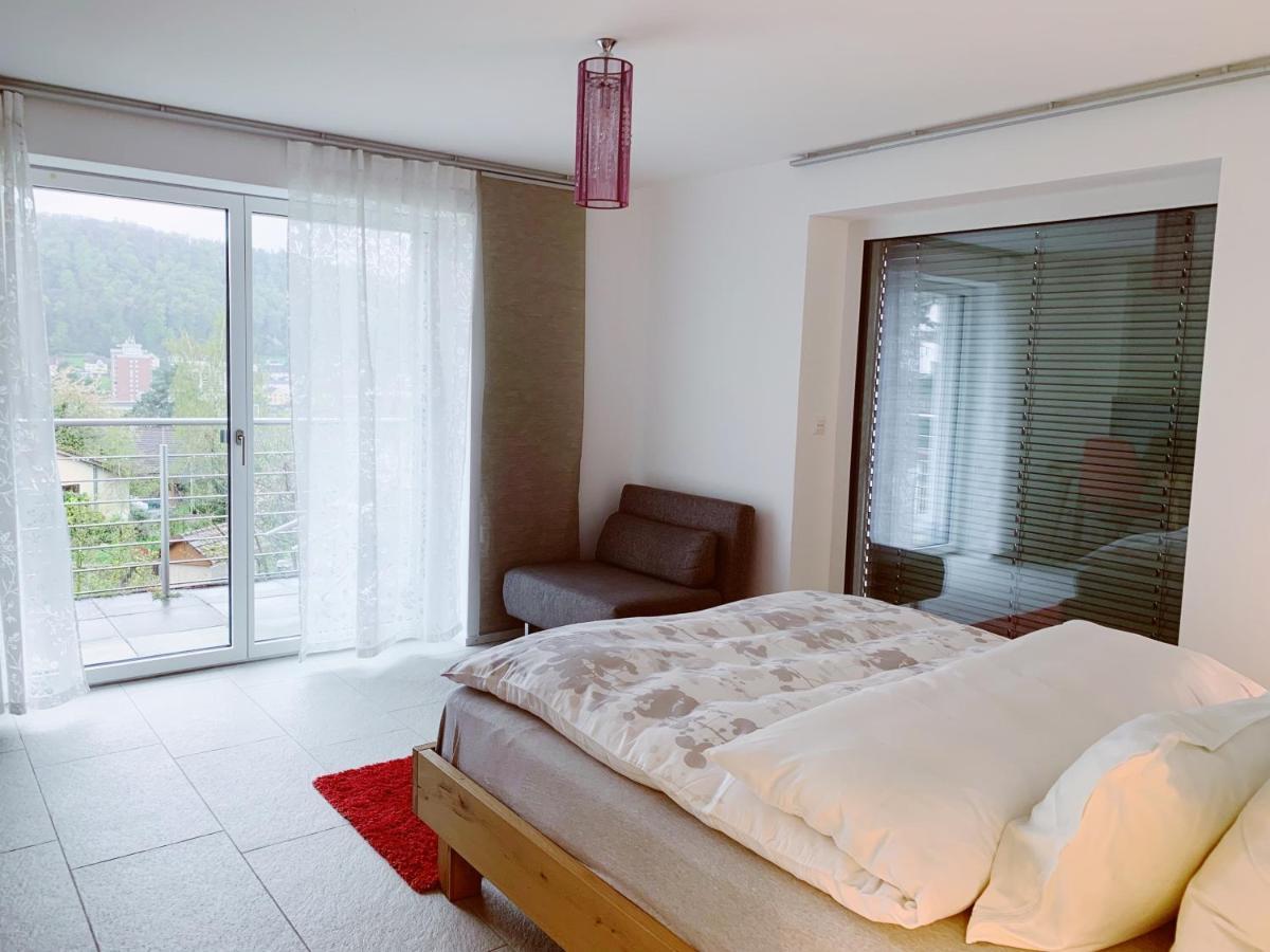 N1 Standalone House Baden Daire Hertenstein Dış mekan fotoğraf