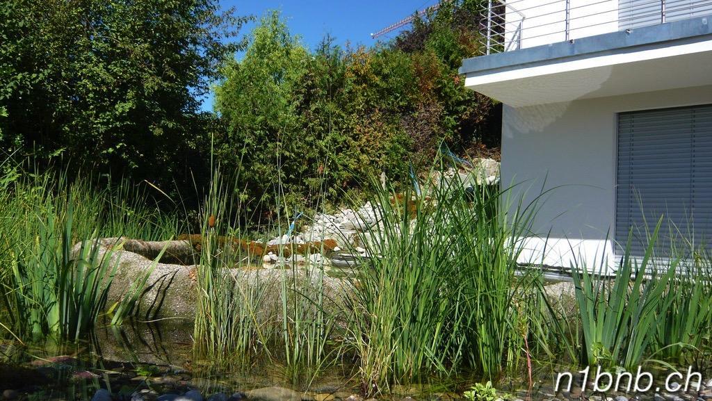 N1 Standalone House Baden Daire Hertenstein Dış mekan fotoğraf