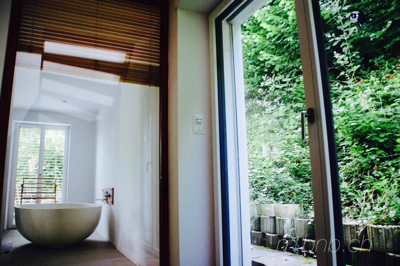 N1 Standalone House Baden Daire Hertenstein Dış mekan fotoğraf