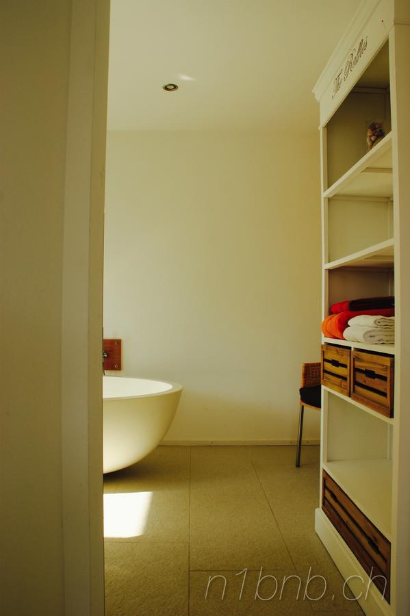 N1 Standalone House Baden Daire Hertenstein Dış mekan fotoğraf