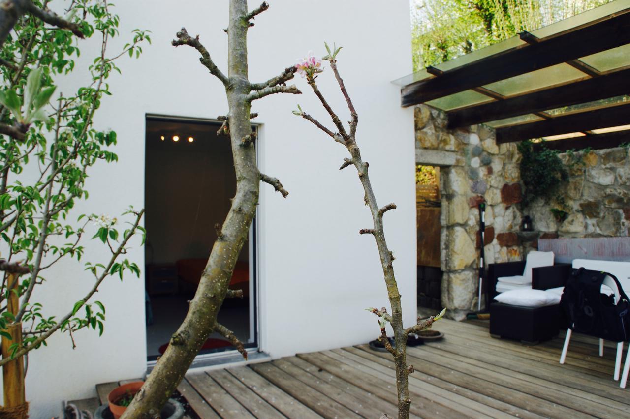 N1 Standalone House Baden Daire Hertenstein Dış mekan fotoğraf